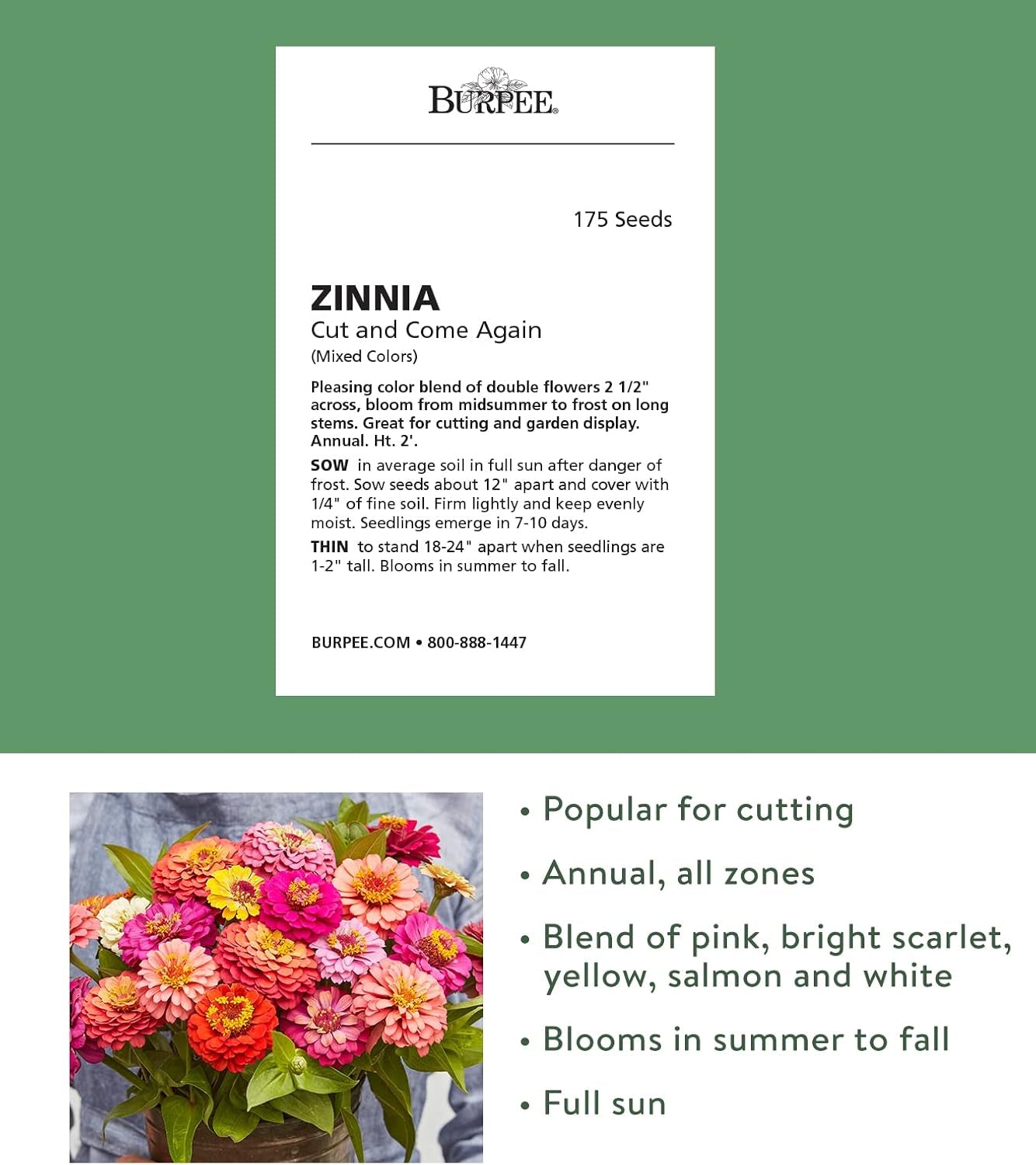 Cut & Come Again Zinnia Seeds 175 Seeds