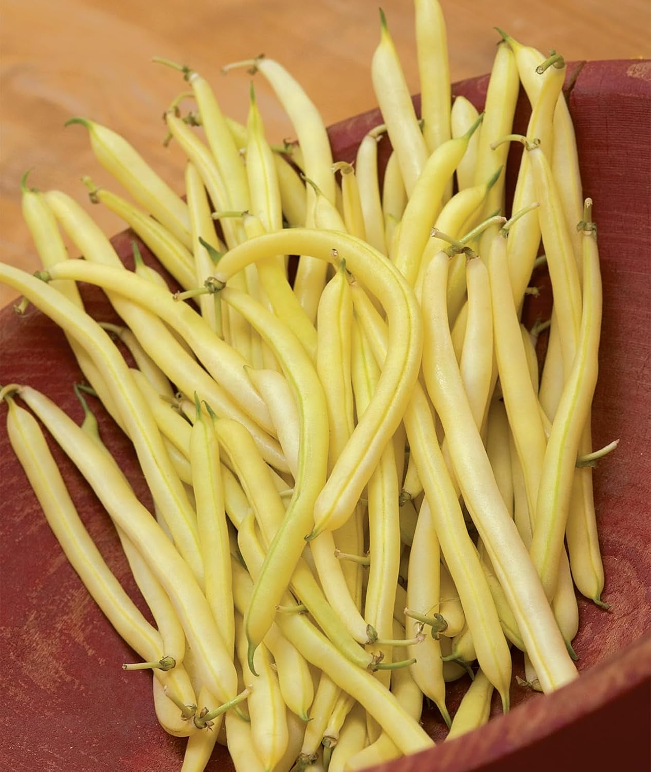 Golden Wax Organic Bush Bean Seeds 1 Ounces of Seed