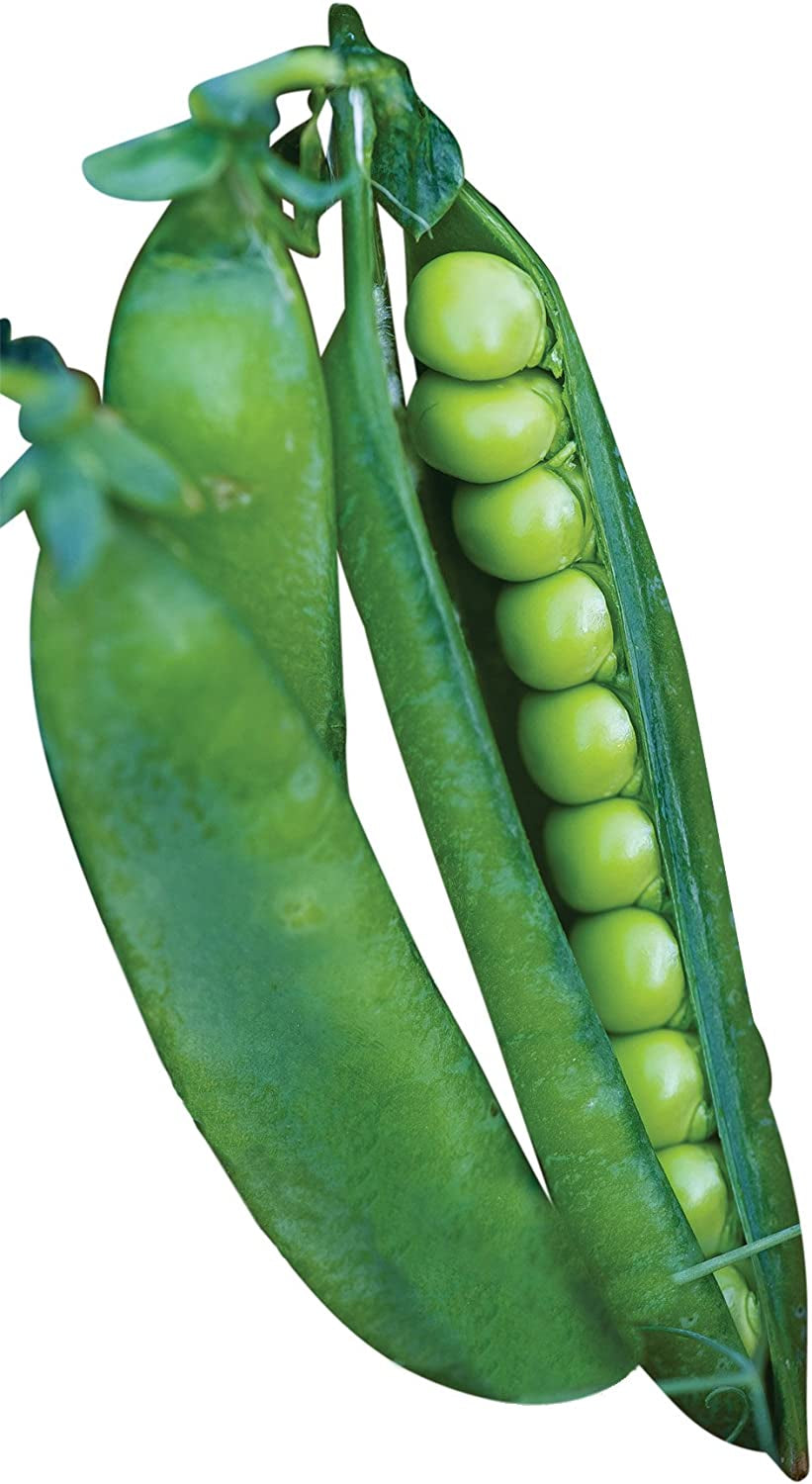 Easy Peasy Pea Seeds 200 Seeds