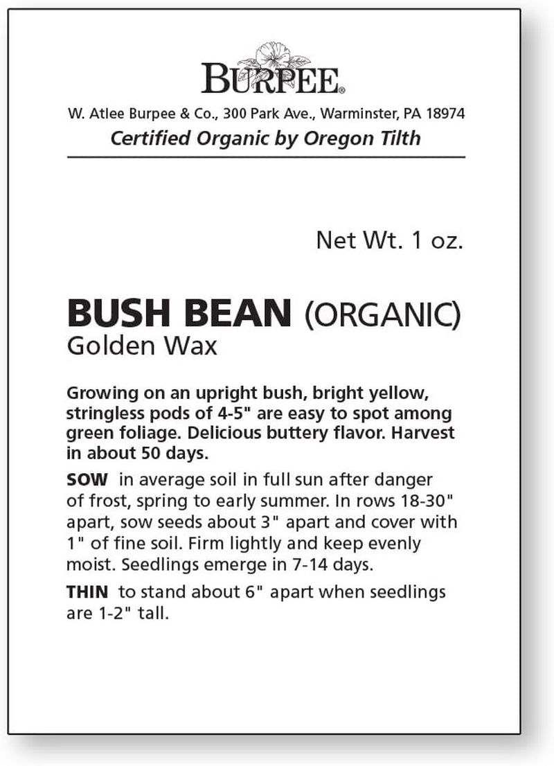 Golden Wax Organic Bush Bean Seeds 1 Ounces of Seed