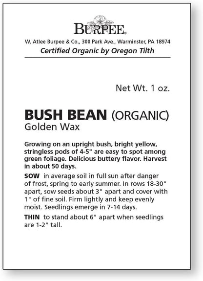 Golden Wax Organic Bush Bean Seeds 1 Ounces of Seed