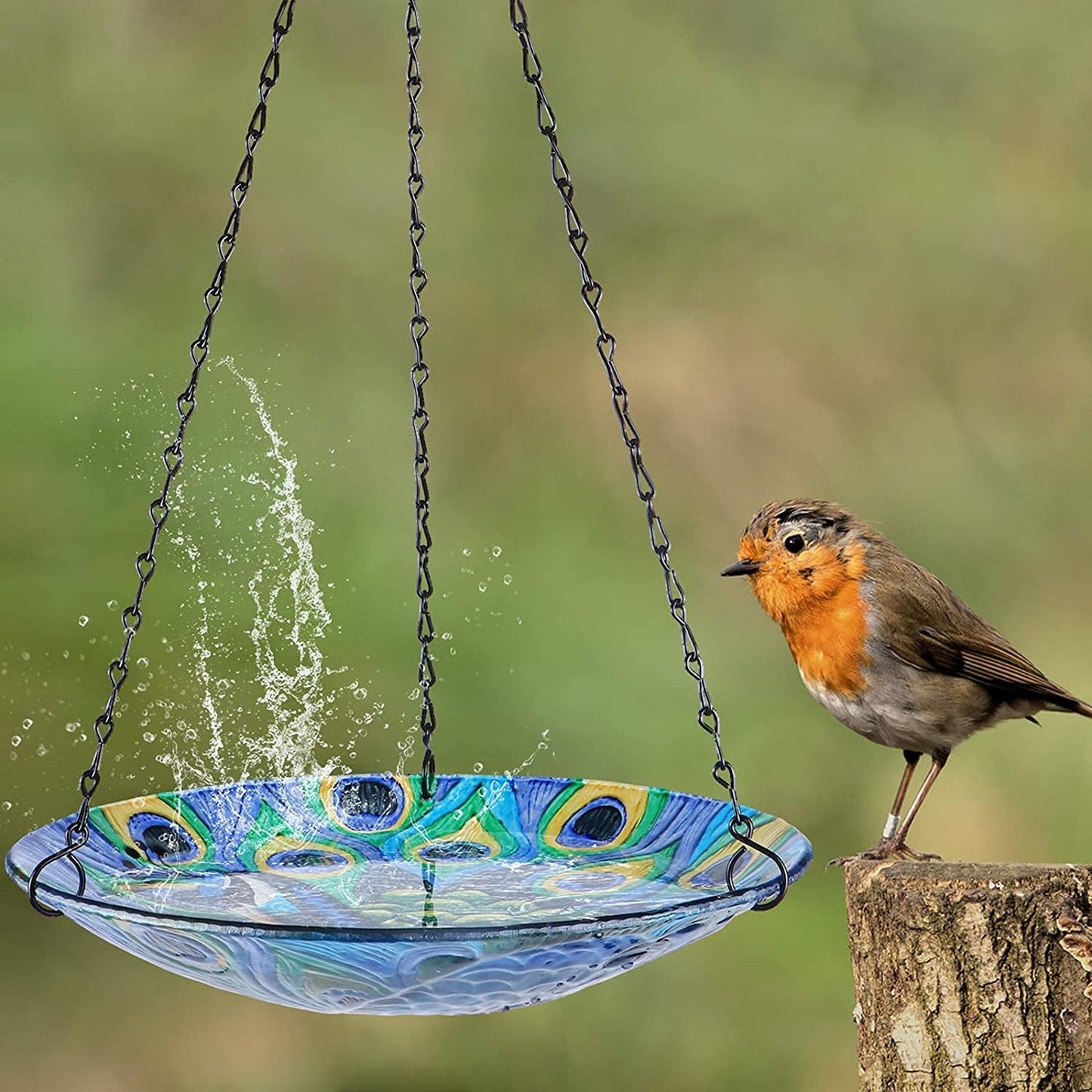 Bird Bath Hanging for Outdoor Glass Small Bird Feeder Bowl Garden Decoration 11 Inch Peacock (Peacock 1)