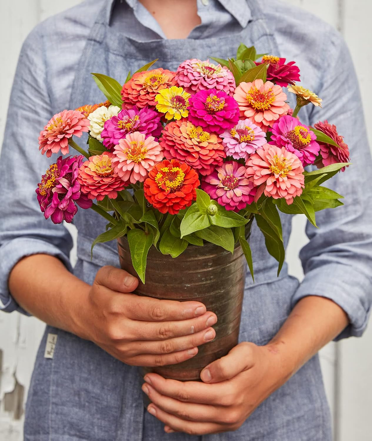 Cut & Come Again Zinnia Seeds 175 Seeds